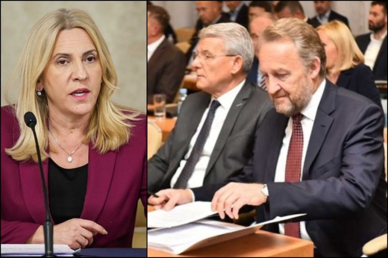 CVIJANOVIĆ BURNO REAGOVALA: Žestoko uzvratila na pismo Sarajevske dvojke UN-u