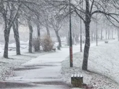 POTVRĐENO IZ MUP-a: Beživotno tijelo pronađeno u parku