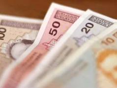 I TO SMO DOČEKALI: Umjesto jednokratne pomoći uvodi se mjesečna naknada za djecu