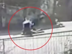 (VIDEO) Isplivao video hapšenja Hamida Taletovića koji je ubio komšiju i ranio njegovu suprugu