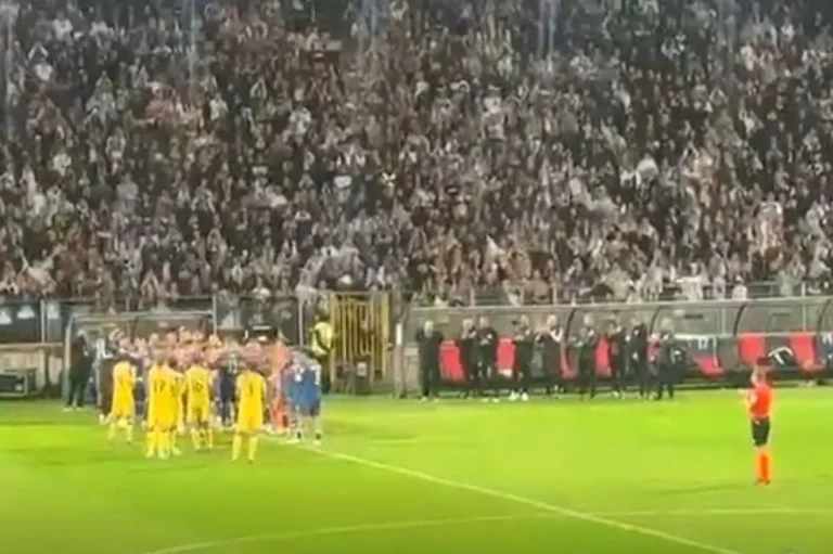 Da li ste vidjeli šta je glavni sudac uradio dok je Edin Džeko izlazio iz igre? (VIDEO)